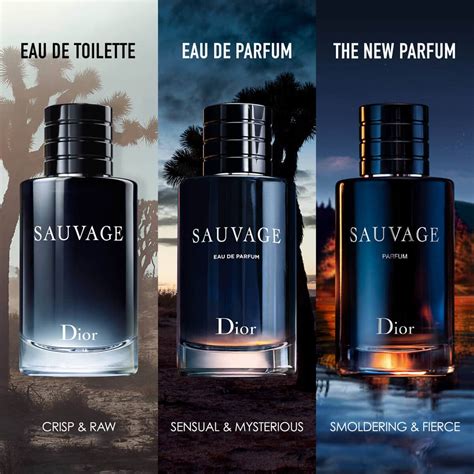 perfumes like Dior sauvage